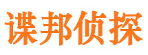 东平市调查公司